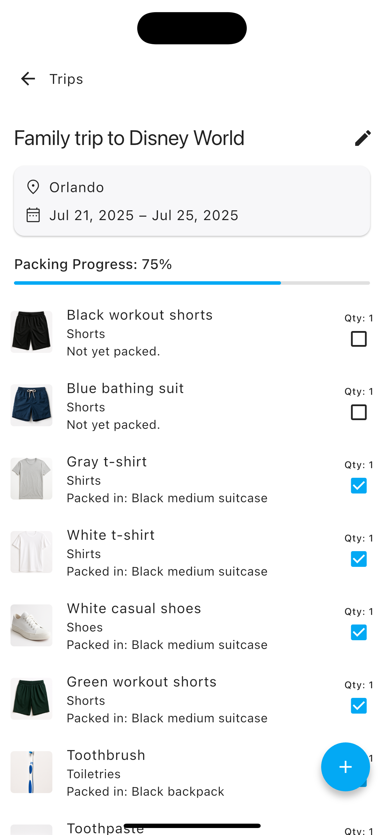 Packing List Screenshot